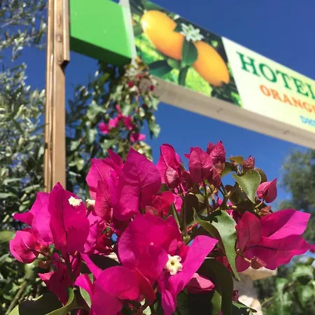 Otel Orange Dhërmi