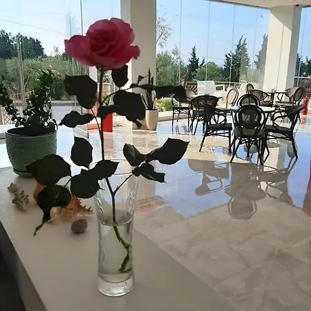 Hotell Orange
