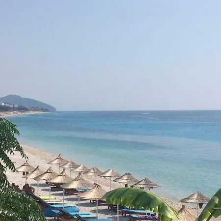 Orange * Дхерми